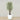 Trees-Artificial Mini Ficus Tree 210cm-Bloomr