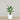 -Artificial Bird of Paradise 90cm-Bloomr