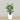 Trees-Artificial Bird of Paradise 120cm-Bloomr