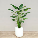 Trees-Artificial Bird of Paradise <br> 150cm-Bloomr