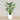 Trees-Artificial Bird of Paradise 150cm-Bloomr
