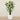 Trees-Artificial Bird of Paradise 180cm-Bloomr