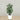 Trees-Artificial Rubber Tree 120cm-Bloomr