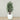 Trees-Artificial Rubber Plant 180cm-Bloomr