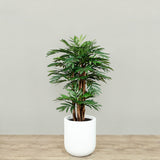 Artificial Areca Palm <br> 120cm