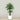 Trees-Artificial Areca Palm <br> 150cm-Bloomr