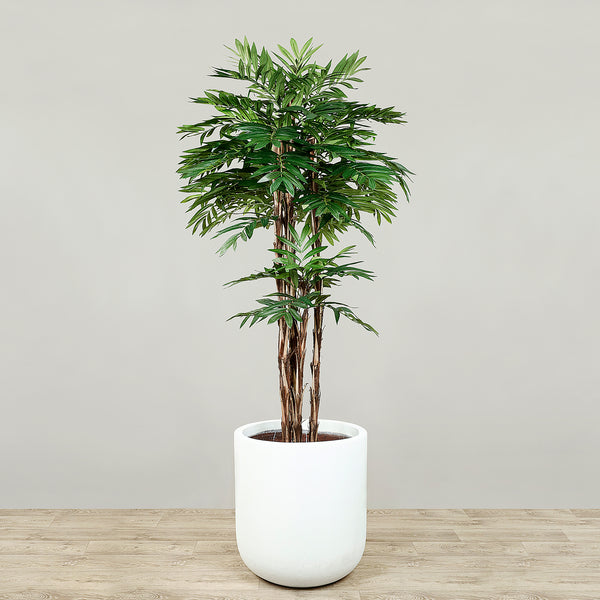 Artificial Areca Palm <br> 180cm