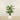 Trees-Artificial Palm Tree <br> 150cm-Bloomr