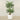 Trees-Artificial Palm Tree 210cm-Bloomr