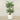 Trees-Artificial Palm Tree <br> 210cm-Bloomr