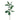 Plants-Banksia Leaves Spray-Bloomr