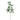 Plants-Enkianthus Leaves Spray-Bloomr