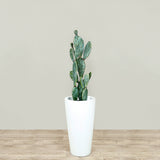 Artificial Cactus Plant <br> 095cm