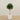 -Artificial Sweet Link Topiary 120cm-Bloomr