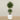 -Artificial Mini Ficus Tree 210cm-Bloomr