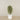 Artificial Mini Ficus Tree 150cm