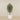 Artificial Mini Ficus Tree 180cm