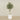 -Artificial Olive Tree 150cm-Bloomr