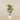 -Artificial Draecena Tree 150cm-Bloomr