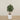 '-Artificial Olive Tree 120cm-Bloomr