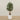'-Artificial Olive Tree 150cm-Bloomr