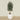 '-Artificial Olive Tree 180cm-Bloomr