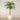 Trees-Artificial Phoenix Palm 300cm-Bloomr