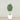 Trees-Artificial Olive Tree 180cm-Bloomr