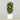 -Artificial Croton Plant 150cm-Bloomr