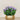 Floral Arrangement-Artificial Torenia Arrangement-Bloomr