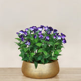 Artificial Torenia Arrangement