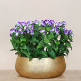 Artificial Torenia Arrangement