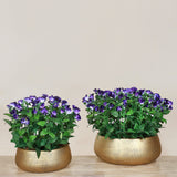 Artificial Torenia Arrangement