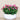 Floral Arrangement-Artificial Torenia Arrangement-Bloomr