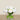 Floral Arrangement-Artificial Ranunculus Arrangement in Glass Vase-Bloomr