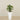 Artificial Calathea Tree 60cm