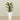 Artificial Calathea Tree 75cm