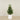 Artificial Laurel Tree 120cm