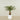 -Artificial Palm Tree 120cm-Bloomr