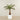 Artificial Palm Tree 150cm