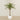 Artificial Phoenix Palm Tree 210cm