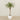 Artificial Phoenix Palm 240cm