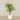 Artificial Areca Palm 210cm