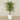 Artificial Areca Palm Tree 260cm
