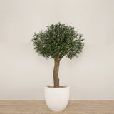 Trees-Artificial Olive Tree <br> 270cm-Bloomr