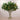 -Artificial Ming Aralia Arrangement in Glass Vase-Bloomr