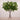 Floral Arrangement-Artificial Beech Spray Arrangement in Glass Vase-Bloomr