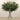 Plants-Artificial Olive Arrangement in Glass Vase-Bloomr