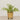 -Artificial Fern Arrangement in Ceramic Vase-Bloomr