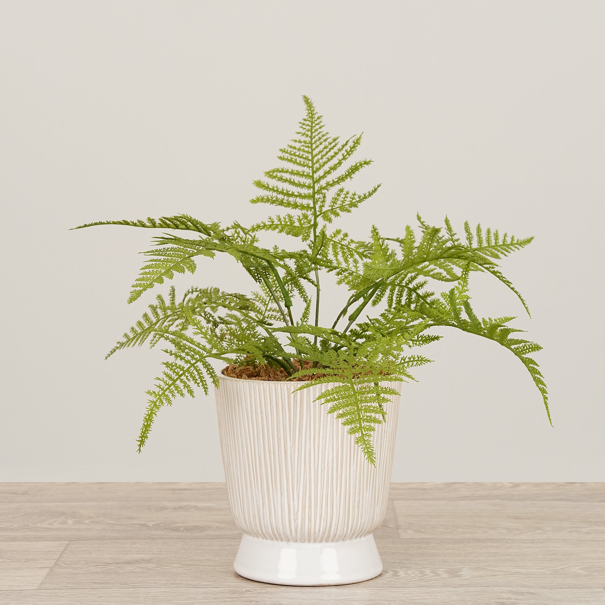 -Artificial Fern Arrangement in Ceramic Vase-Bloomr